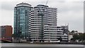 TQ3078 : Riverwalk, Millbank, Westminster by PAUL FARMER