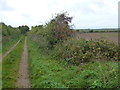 TF8544 : Footpath to Overy Marshes, Norfolk by Richard Humphrey