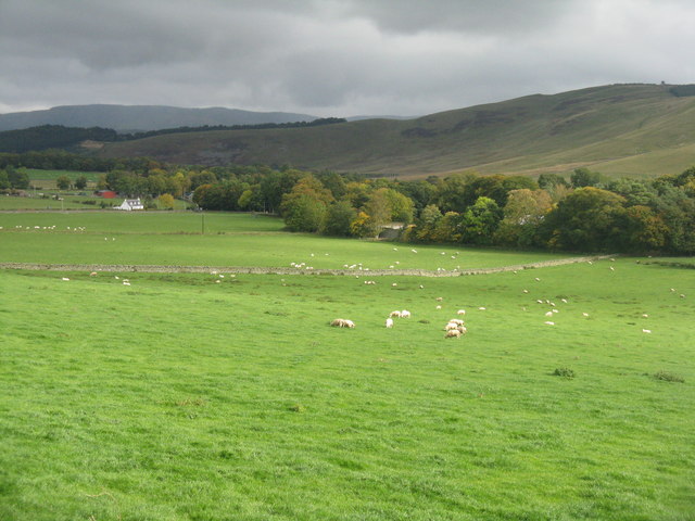 Hallyards in the Manor Valley