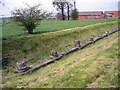 SJ5608 : Remains of the Forum at Viroconium Cornoviorum (Wroxeter Roman City) by Jeff Buck