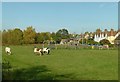 SP4909 : Wolvercote Green by Alan Murray-Rust