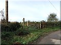 SJ8051 : Footpath off Great Oak Road by Jonathan Hutchins