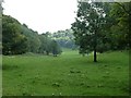 SO8001 : Valley floor, Woodchester by Rob Farrow