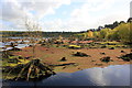 SJ5571 : Blakemere Moss, Delamere Forest Park by Jeff Buck