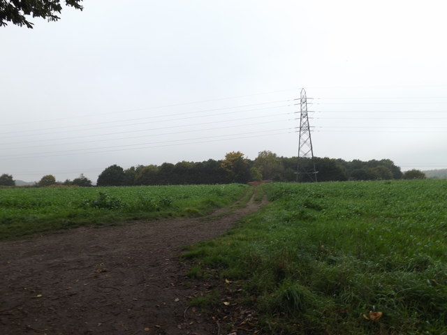 Bridleway to Old Hall Wood