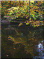 SD5188 : Autumn reflections in the River Kent by Karl and Ali