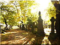 NS4763 : Woodside Cemetery Autumn Fall by david cameron photographer