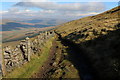 SD8384 : Pennine Way on the Western Flanks of Dodd Fell (1) by Chris Heaton