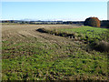 NZ1089 : Fields and fence near Shelly Bridge by Oliver Dixon