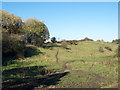 NZ2058 : Rough grazing north of Marley Hill by Trevor Littlewood