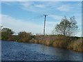 SE5426 : Starlings on the power lines, Birkin Holme by Christine Johnstone