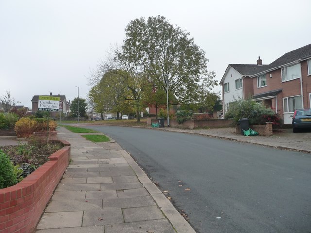 Trees off Yewdale Road, Carlisle