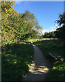 SP3780 : Sowe Valley Footpath near Dorchester Way, Walsgrave, Coventry by Robin Stott