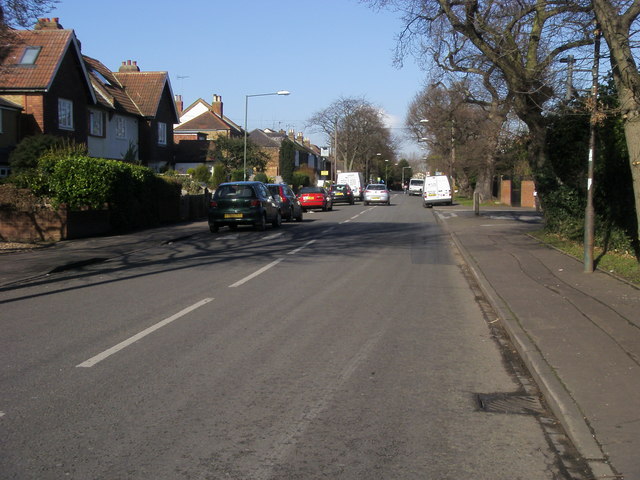 Oak Avenue