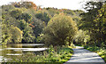 J3470 : The Lagan towpath, Stranmillis, Belfast (November 2015) by Albert Bridge