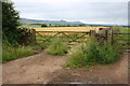 NY6526 : Field gates from minor road opposite track to Low Abbey by Roger Templeman