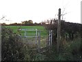 SJ7949 : Halmer End: footpath off Shraleybrook Road by Jonathan Hutchins