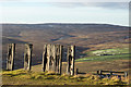 NY9942 : Remnants of railway sleeper fence by Trevor Littlewood