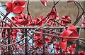 SE2812 : Poppies at YSP!  by Dave Pickersgill