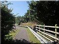 SY3593 : Path near Charmouth roundabout by Derek Harper