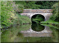 SJ8906 : Park Bridge south of Brewood, Staffordshire by Roger  D Kidd