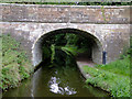 SJ8906 : Park Bridge No 8, south of Brewood, Staffordshire by Roger  D Kidd