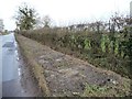 SE6362 : Cleared ditch along the Strensall - Sheriff Hutton road by Christine Johnstone