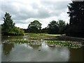 SE6250 : Lake near Langwith by DS Pugh