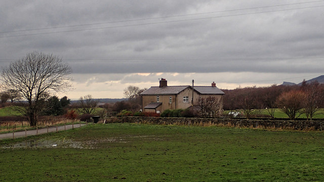 Poultry Crossing, Bank Foot