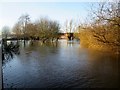 SE7871 : River  Derwent  in  flood  at  Malton  27th  Dec  2015  (6) by Martin Dawes