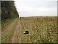 ST9609 : Long Crichel, maize stubble by Mike Faherty