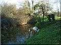 SU0597 : Crane Bridge, Thames and Severn Canal by Vieve Forward