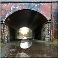 SJ9594 : The puddle under bridge #122 by Gerald England