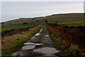 SD8589 : Bands Lane by Chris Heaton