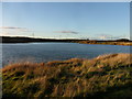 NZ2888 : Queen Elizabeth II Country Park (set of 2 images) by Anthony Foster