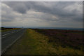 SE6994 : View south along Blakey Road towards Stepin Turn by Christopher Hilton