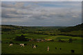 NZ7106 : Esk Dale from the side of Little Fryup Dale by Christopher Hilton