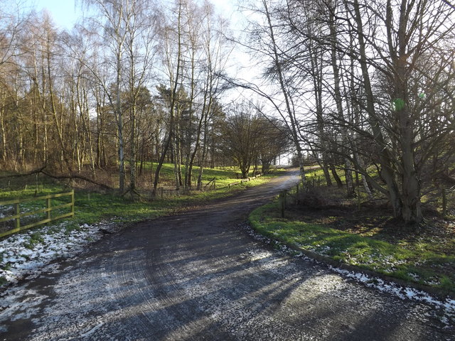 Entrance to Gallowsfield Wood