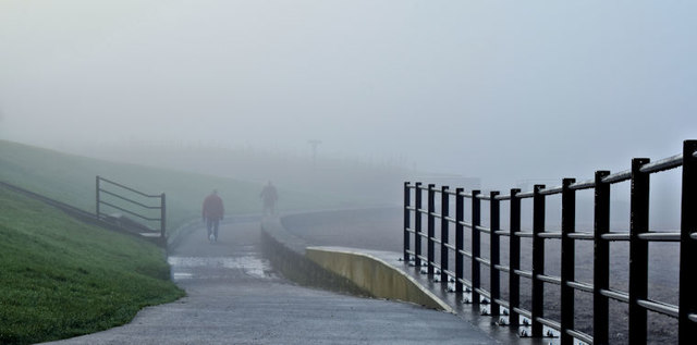 Coastal mist, Seapark, Holywood - January 2016(1)