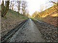 SJ9594 : Tyre Tracks on the Trans Pennine Trail by Gerald England