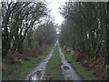 NY0565 : Wet track at Caerlaverock by M J Richardson