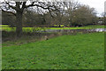 SU9960 : View across the Bourne near Mimbridge by Alan Hunt