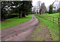 ST4688 : Entrance driveway to Dewstow House near Caldicot  by Jaggery