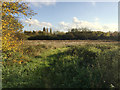 SP3779 : Floodplain of the River Sowe above Sowe Bridge, Walsgrave, Coventry by Robin Stott