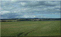  : Crop field towards the Beauly Firth, Groam by JThomas