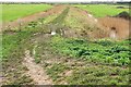 TF8544 : Footpath to byway, Overy Marshes by Derek Harper