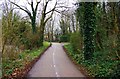 SP3509 : Cycleway and footpath. Witney, Oxon by P L Chadwick