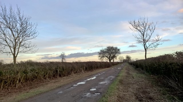 Carlton Ferry Lane at dusk