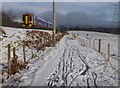 NH8810 : Train, sheep, and snow, by the Speyside Way by Craig Wallace