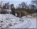 NH8911 : Track under the railway, on the Speyside Way by Craig Wallace